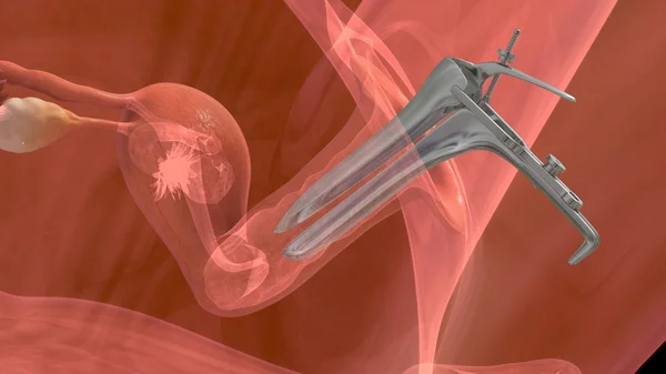 Процесс переноса эмбрионов — стоковое фото