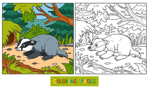 Coloring book (badger and background) — стоковый вектор