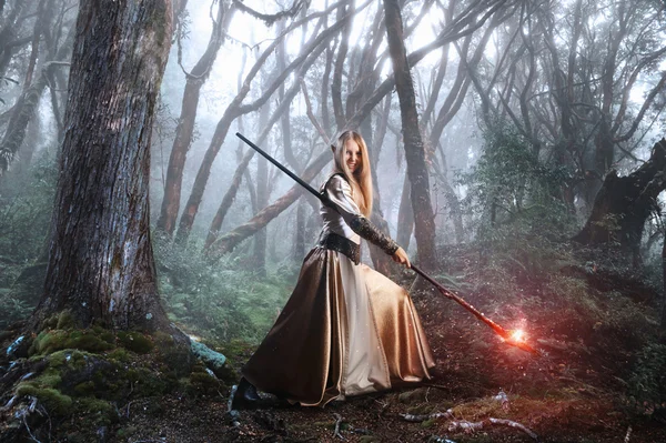Волшебный дымоход с волшебством всовывает леса — стоковое фото