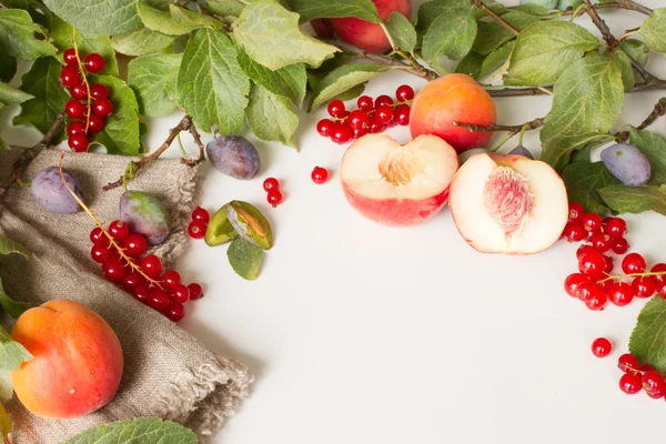Филиал с персики, сливы и абрикосы с ножницами и красный сиг — стоковое фото