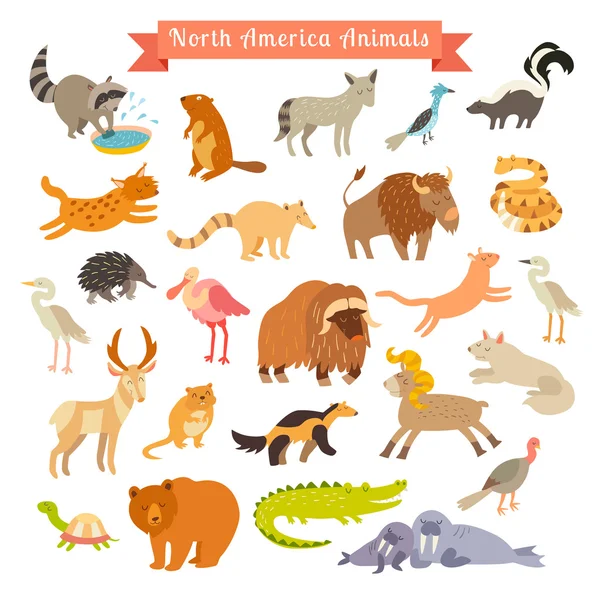Северная Америка животных — стоковый вектор