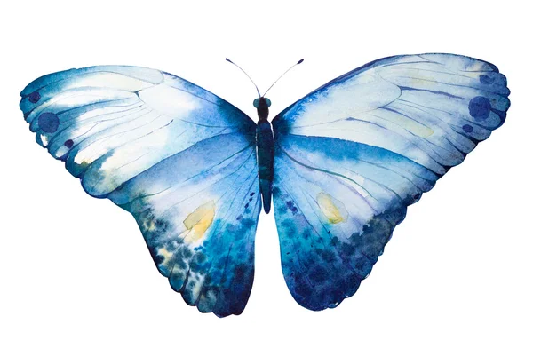 Ручной росписью акварель бабочка — стоковое фото