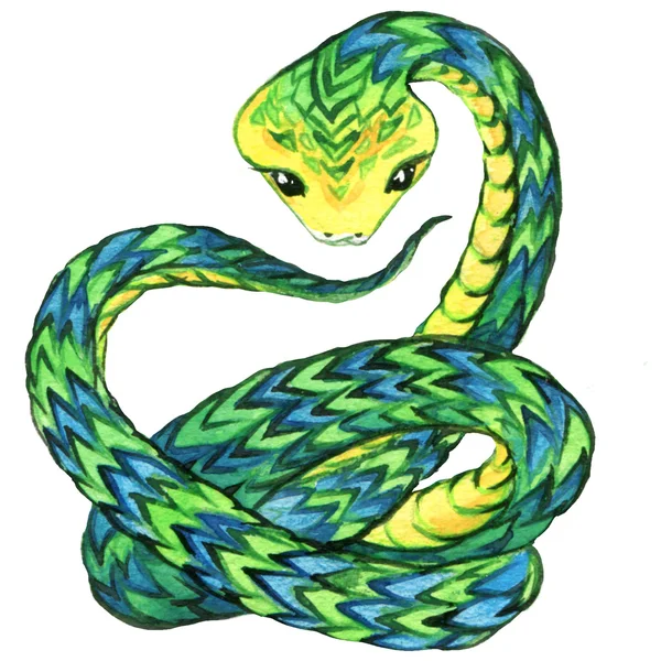 Snake. Snake watercolor drawing — стоковое фото