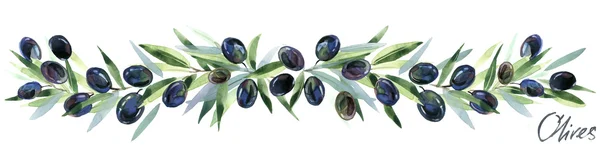 Olive.Olives ветви. Оливковые ветви с оливками — стоковое фото