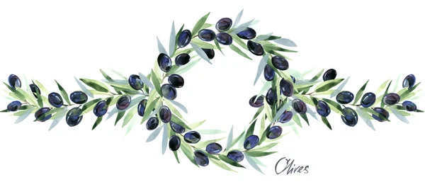 Olive.Olives ветви. Оливковые ветви с оливками. Акварель оливковая ветвь венок — стоковое фото