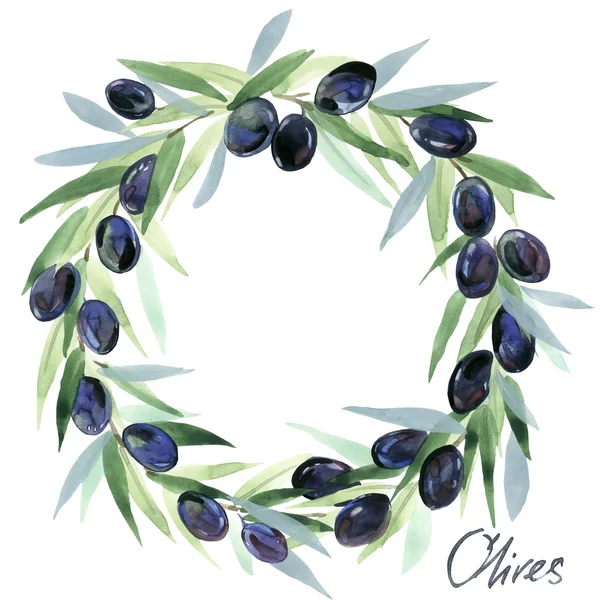 Olive.Olives ветви. Оливковые ветви с оливками. Акварель оливковая ветвь венок — стоковое фото