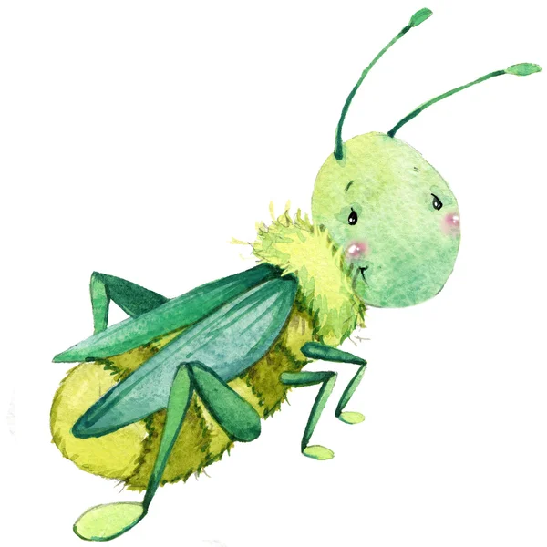 Мультфильм насекомое кузнечика акварель иллюстрации. изолированных на белом фоне — стоковое фото