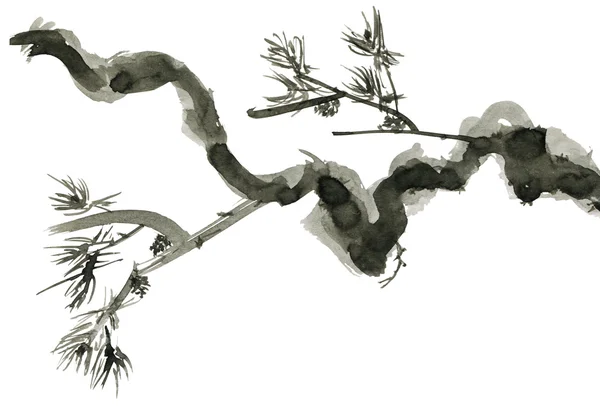 Сосновая ветвь, изолированные на белом фоне. Тушью в китайском стиле — стоковое фото