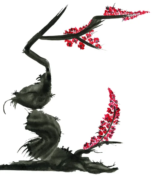 Цветение фруктовых деревьев. Цветки сливы Мэй. Тушью в китайском стиле. . Изолированные на белом background.style — стоковое фото
