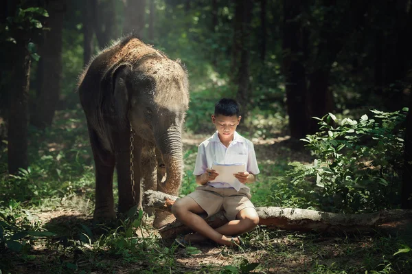 Чтение книги детские с слон — стоковое фото