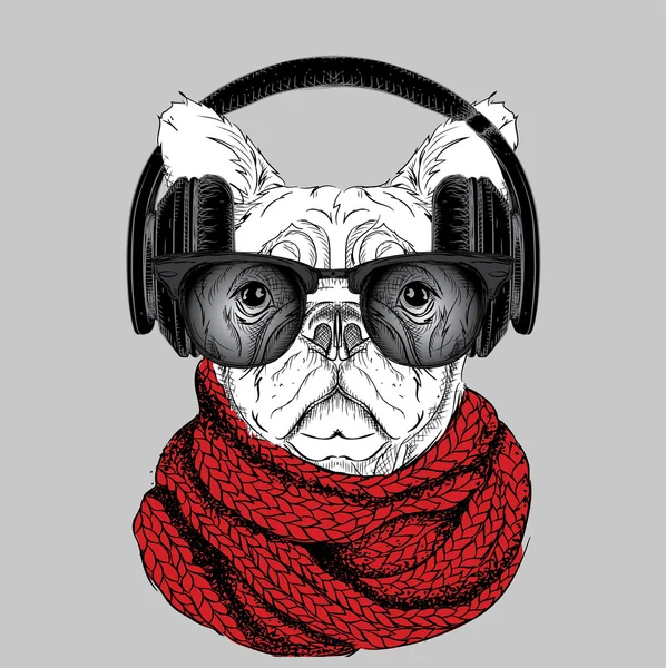 Dog in glasses, winter scarf and with headphones. Vector illustration. — стоковый вектор