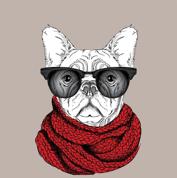 Dog in glasses and winter scarf . Vector illustration. — стоковый вектор