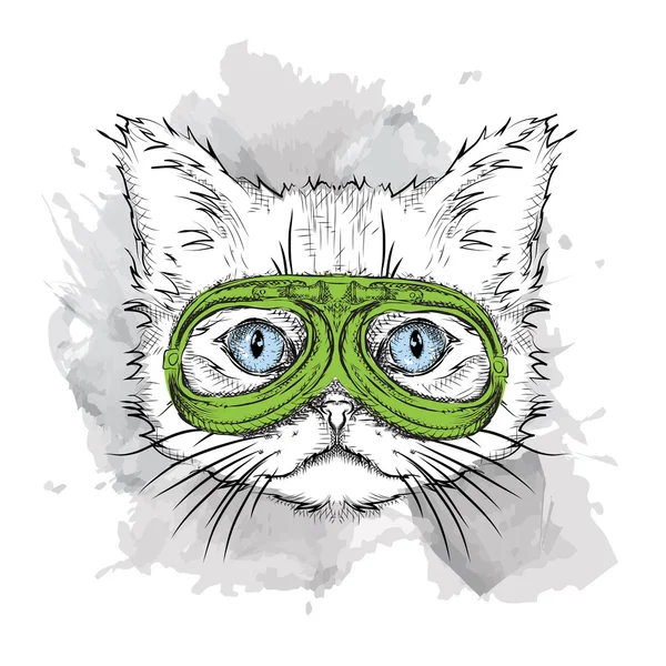 Portrait of a cat in motorcycle glasses. Vector illustration — стоковый вектор