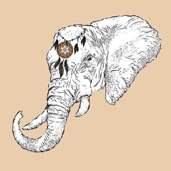 Hand draw elephant portrait. Hand draw vector illustration — стоковый вектор