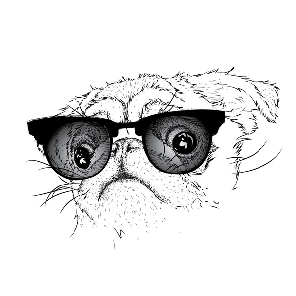 Pug in glasses and winter scarf . Vector illustration. — стоковый вектор