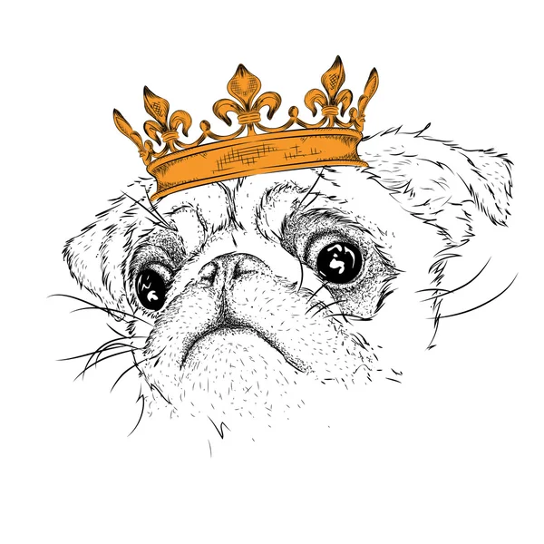 Hand draw portrait of pug in the crown. Use for print, posters, t-shirts. Vector illustration — стоковый вектор