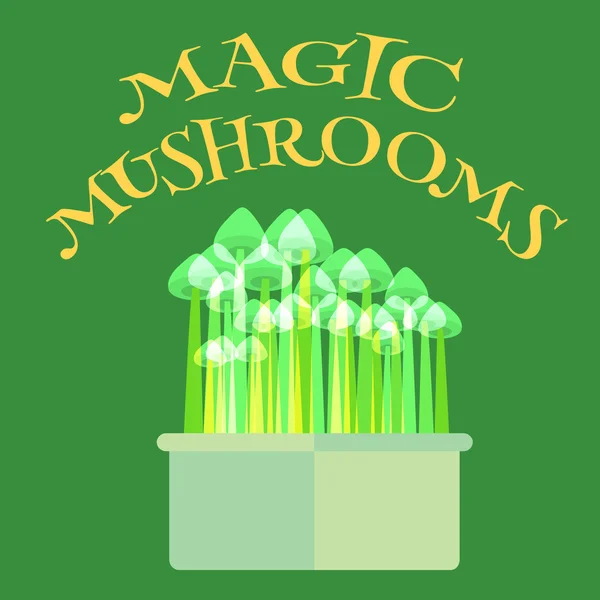Волшебные грибы растут комплект — стоковый вектор