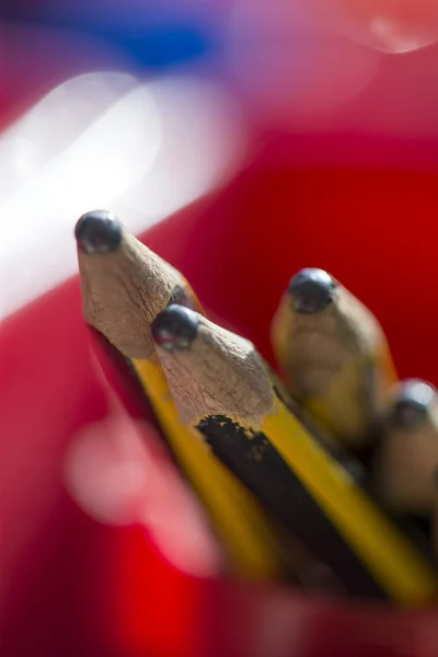 Горшок карандашей — стоковое фото