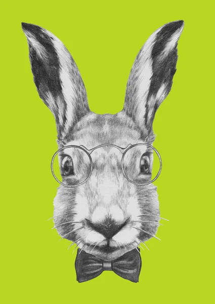 Кролик с очки и галстук-бабочку — стоковое фото