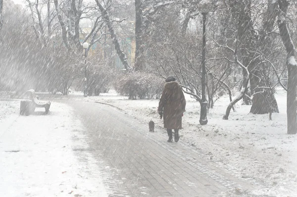 Снег в украинский капитал — стоковое фото