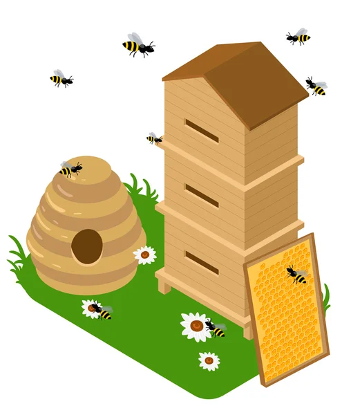 Изометрические пасека комплект. Пасека векторные иллюстрации Мед банк векторной иллюстрации Пчела, мед, мед банк, сотовые — стоковый вектор