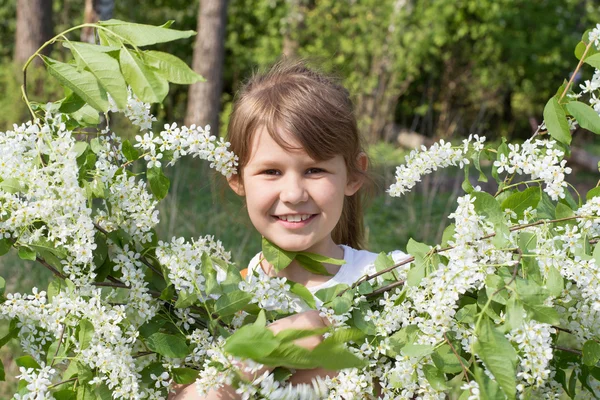 Девушка и букет цветет Черемуха — стоковое фото