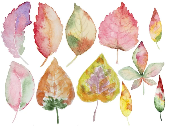 Акварель осенние листья — стоковое фото