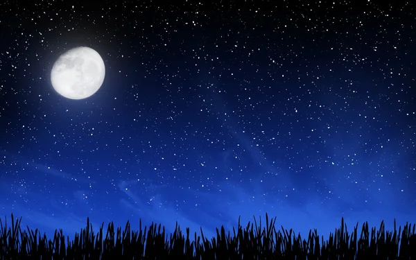 Глубокая ночь небо со многими звездами и травы Стоковое Изображение