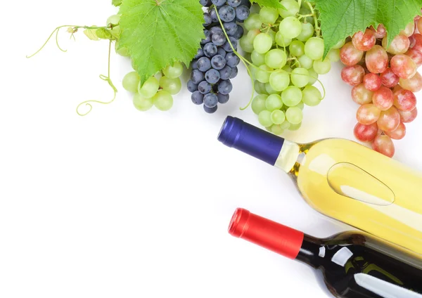 Пучки винограда и вина — стоковое фото