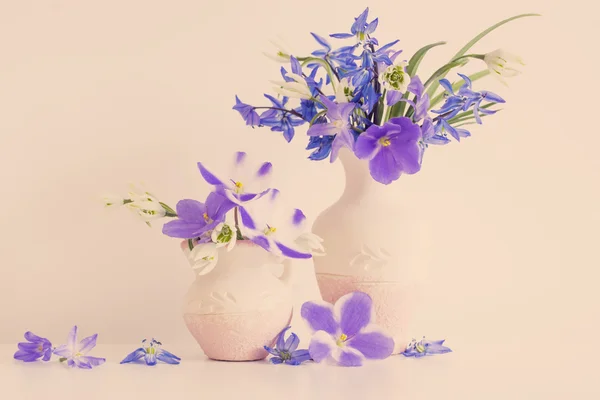 Натюрморт с весны голубые цветы — стоковое фото