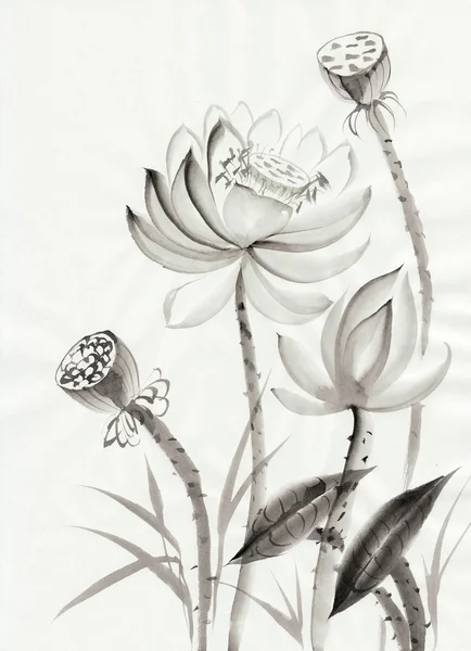 Лотос цветок акварельная живопись Лицензионные Стоковые Изображения