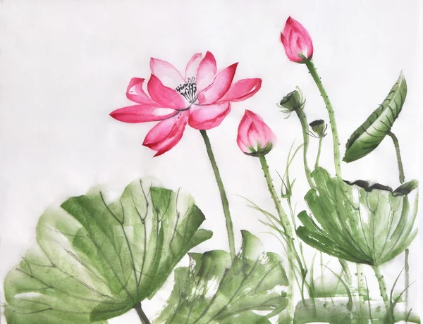 Лотос цветок акварельная живопись Стоковое Фото