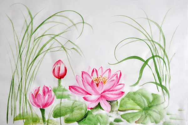 Лотос цветок акварельная живопись Лицензионные Стоковые Фото