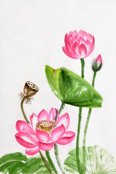 Лотос цветок акварельная живопись Стоковое Фото