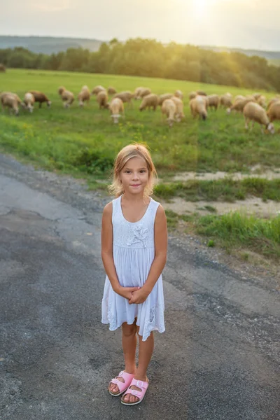 Маленькая девочка на пастбищах с овцами Лицензионные Стоковые Фото