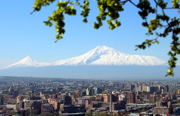 Город Ереван и гору Арарат — стоковое фото