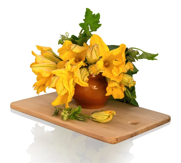 Букет цветов тыквы в глиняном горшочке Стоковое Изображение