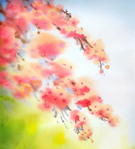 Акварель фон в японском стиле. Цветущие ветви — стоковое фото