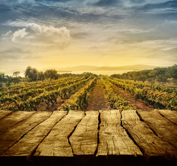 Дизайн виноградника — стоковое фото