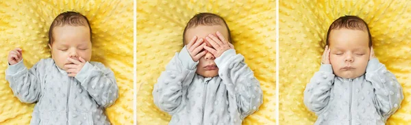 Несколько фото новорожденного ребенка Стоковое Фото