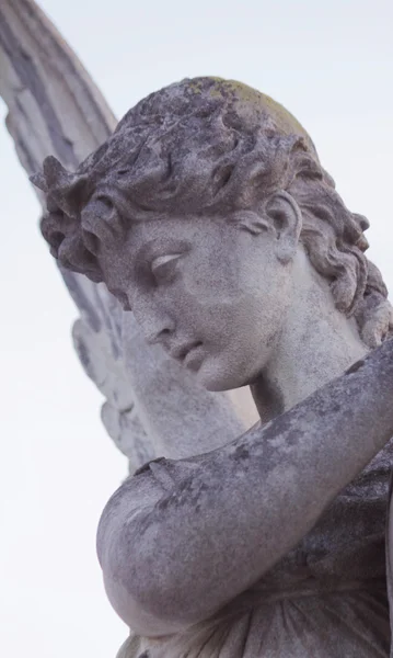 Birth of goddess of love Aphrodite (Venus, fragment of statue) — стоковое фото