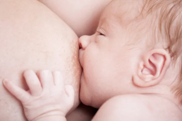 Новорожденный ребенок грудного вскармливания — стоковое фото