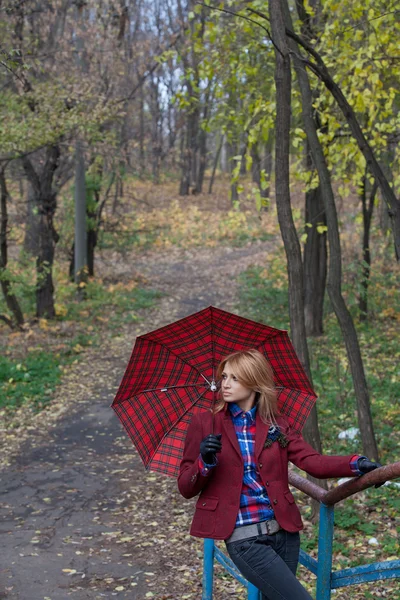 Довольно белокурая женщина с зонтиком в руках, позирующих на мосту Стоковое Фото