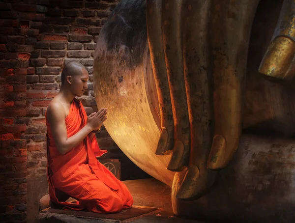 Монахом буддизм сидеть в храме Стоковая Картинка