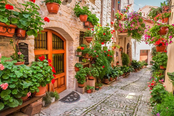 Улица в небольшом городке в лето, Умбрии в Италии — стоковое фото