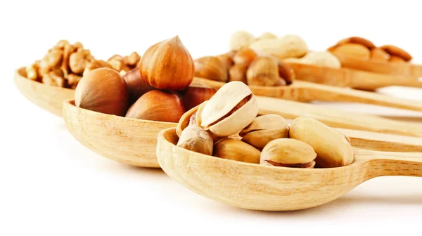 Деревянные ложки с фундук, грецкие орехи, фисташки, миндаль, желуди и арахис, изолированные на белом — стоковое фото