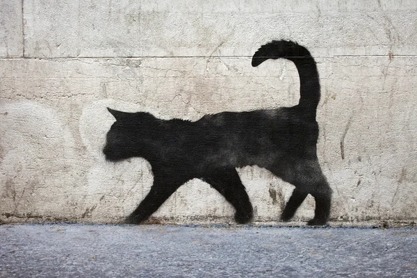 Черная кошка граффити — стоковое фото