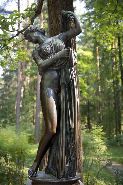Скульптура Венера callipyge, богиня любви и красавица, pavlovsk парк — стоковое фото
