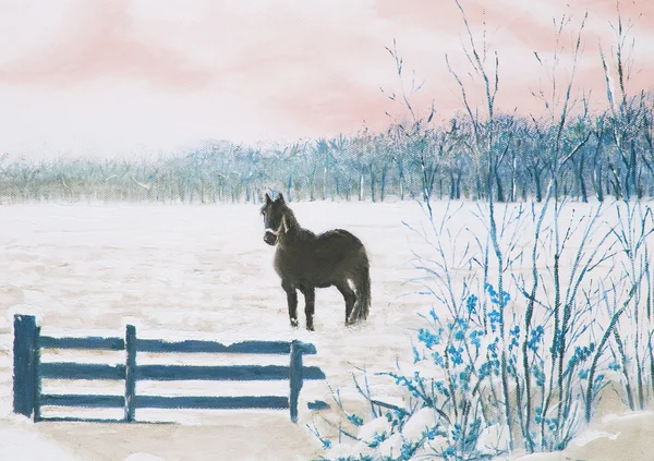 Фризская лошадь на снежном лугу Лицензионные Стоковые Изображения