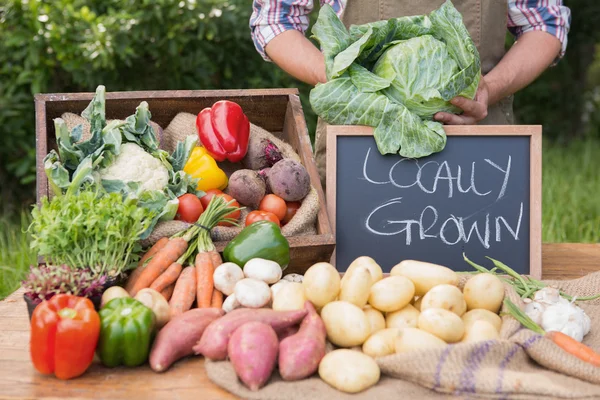 Фермер, продажи органических овощей на рынке — стоковое фото